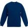 color:navy